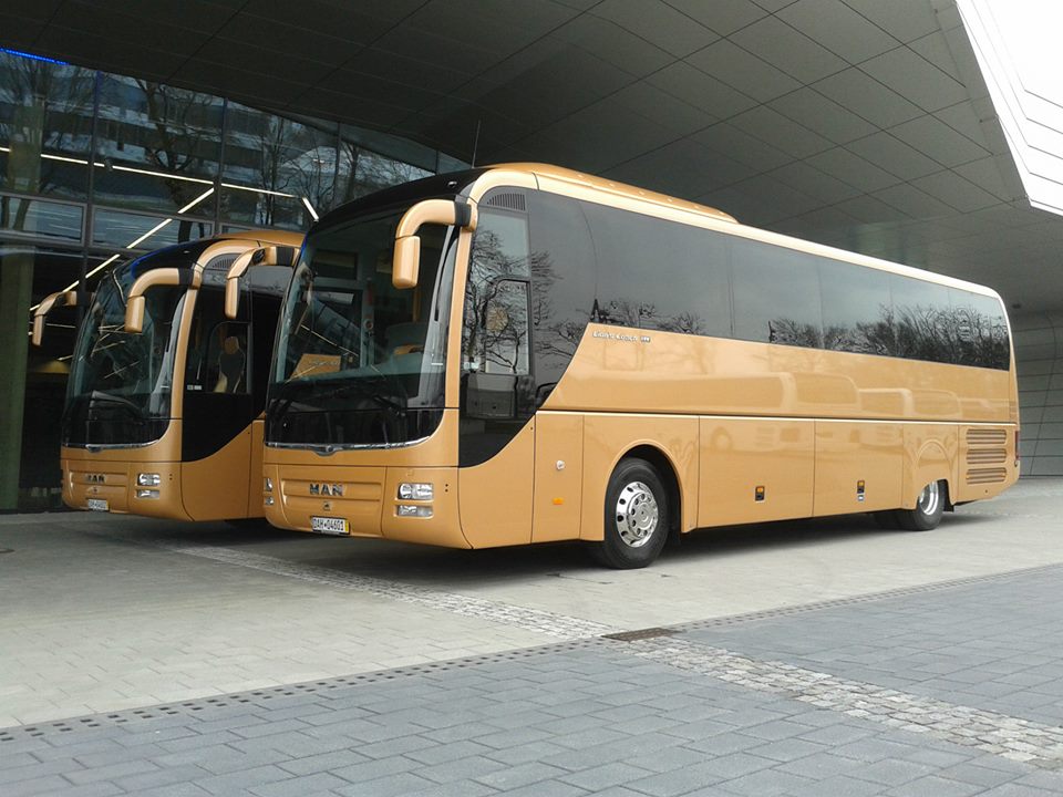 Man Lion's Coach